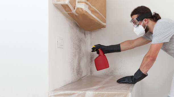 Professional Basement Mold Removal technician working in Garfield, TX