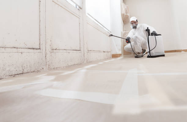 24/7 Emergency Basement Mold Removal experts in Garfield, TX