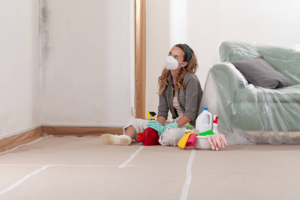 Reliable Basement Mold Removal contractor in Garfield, TX by Cheap Mold Removal